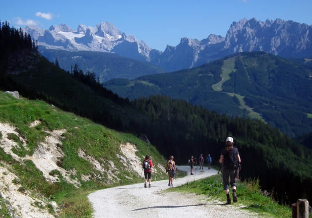 Wanderweg mit herrlichem Panorama
