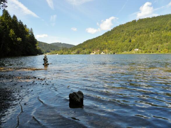 Ausblick über den Lunzer See