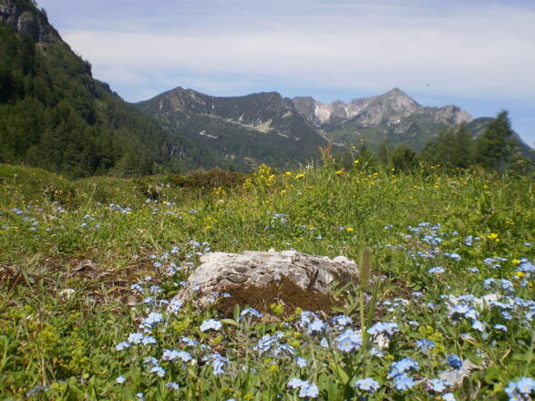 Hirschwandsteig Richtung Südwienerhütte
