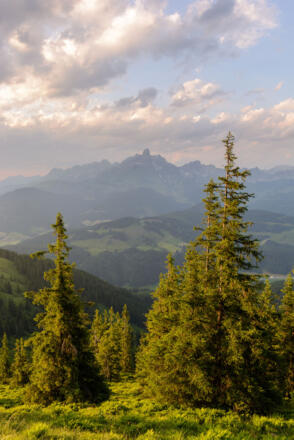 Landschaft - Rossbrand