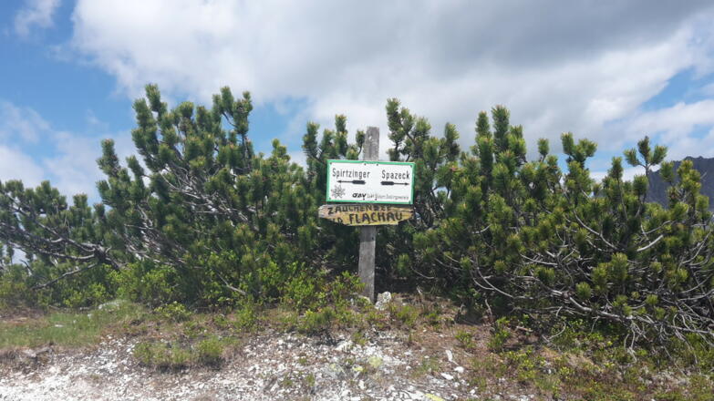 Spirzinger - Spazeck
