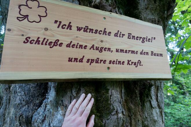 Ein Weg - lauter gute Wünsche