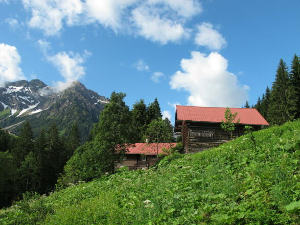 Altes Walserhaus mit Stall am Breitachweg, im Hintergrund Zwölfer- und Elferkopf.