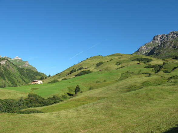 Gepflegte Bergmähder bei Schöneberg