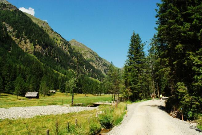 Traumhaft neben Bach und Wald