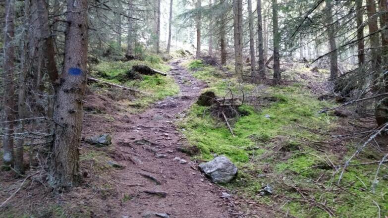Steig oberhalb der Ruine