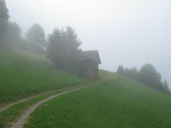 Weg und Stall in Dünserberg-Rongelonsch