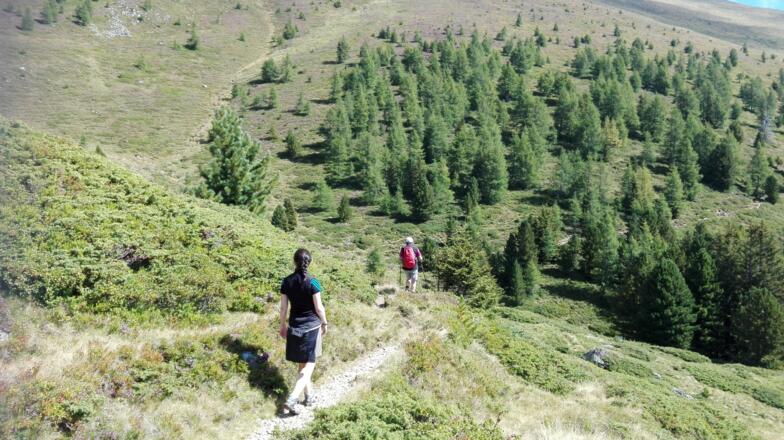 Steig Richtung Grazerhütte