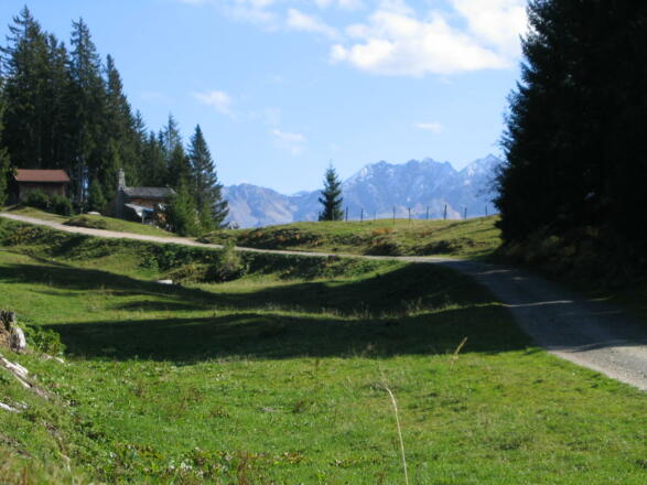 &quot;Bärger Alma&quot; 