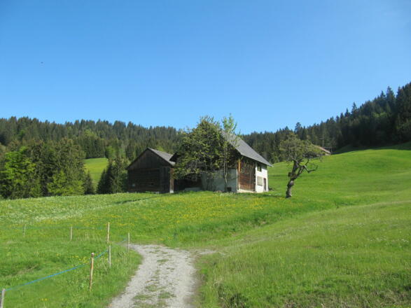 Paarhof in Obermazona/Laterns