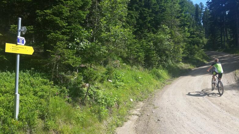 Folgen Sie der MTB Beschilderung