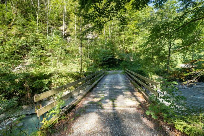 Plankafur-Brücke (c) Lucas Tiefenthaler / Vorarlberg Tourismus