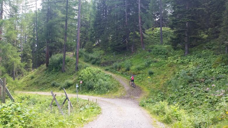 Abzweigung auf den steilen Weg zur Pritzhütte