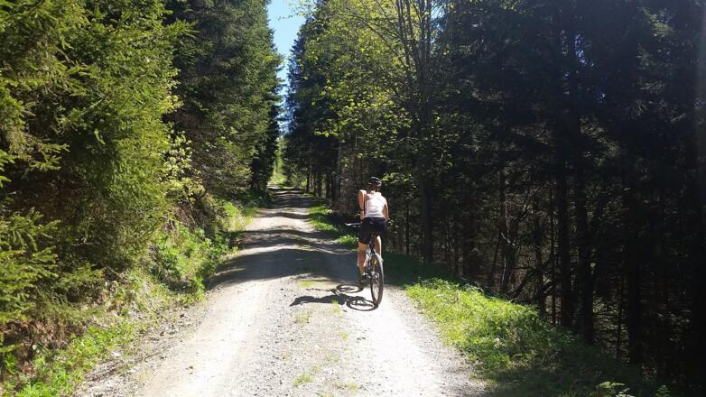 Anstieg auf 1700 Meter