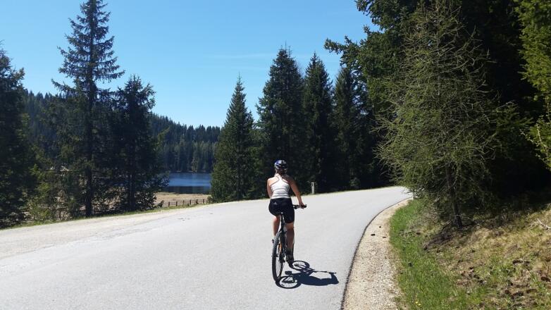 Blick auf den Prebersee