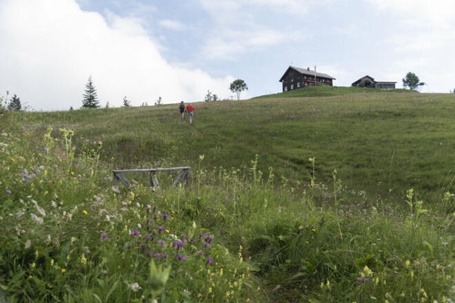 Alpwegkopfhütte  (c) Martin Vogel / Vorarlberg Tourismus