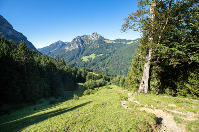 Weg nach der Gavadura Alpe (c) Lucas Tiefenthaler / Vorarlberg Tourismus