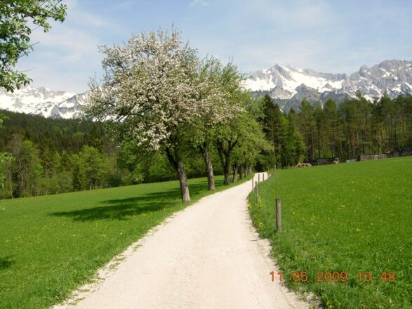 Landschaft zwischen Spital und Admont
