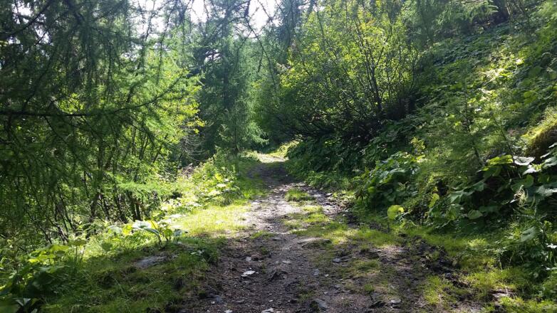 200 Meter ca. steiler Anstieg