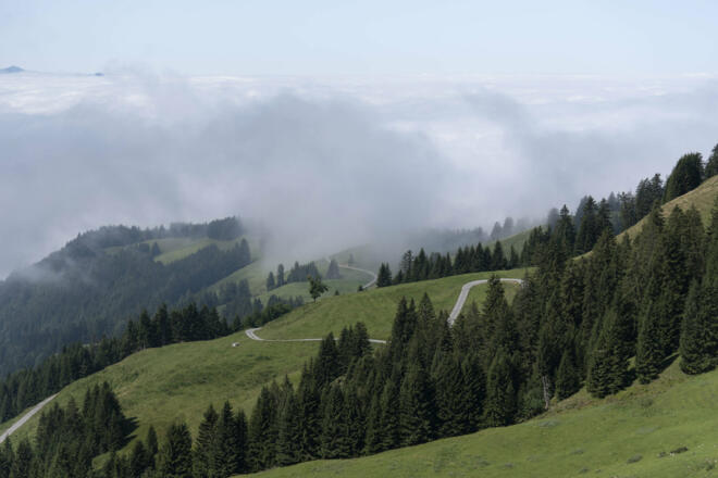 Blick Richtung Maiensäss  (c) Martin Vogel / Vorarlberg Tourismus