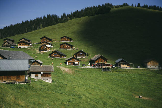 Alpe Gamp (c) Dominic Berchtold / Vorarlberg Tourismus