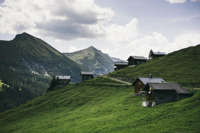 Alpe Gamp (c) Dominic Berchtold / Vorarlberg Tourismus