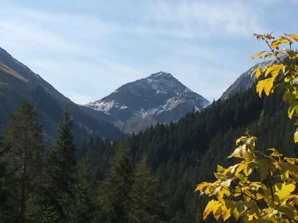 Ortkopf bei Fallerschein