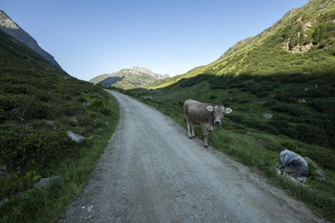 Schönverwalltal (c) Lucas Tiefenthaler / Vorarlberg Tourismus