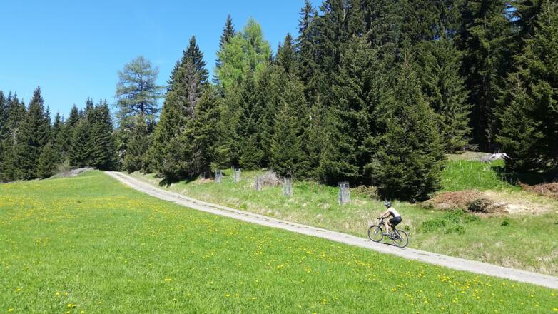 Traumhafter gleichmäßiger Anstieg