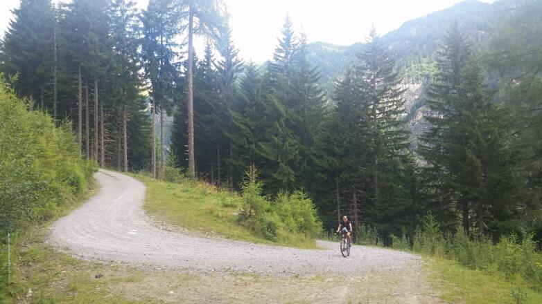 Anstieg über Forstweg