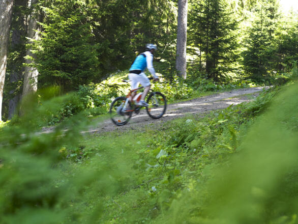 Unterwegs in Bartholomäberg