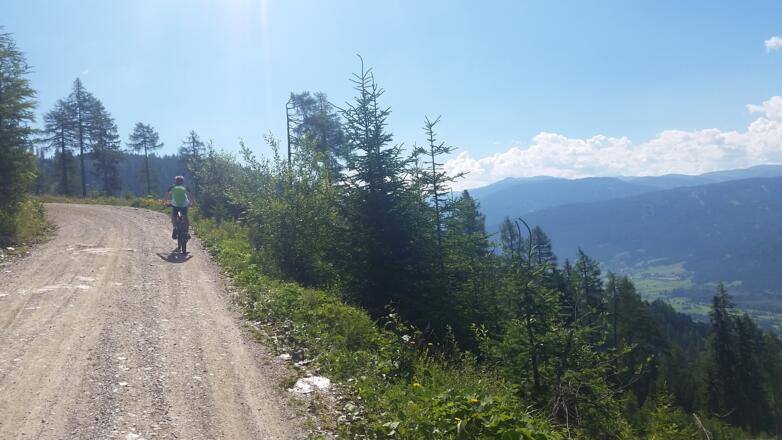 Schöne Ausblicke auf der Forststraße