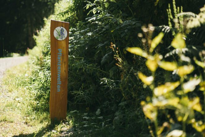 Pflanzenwelten Brand (c) Dominic Berchtold / Vorarlberg Tourismus