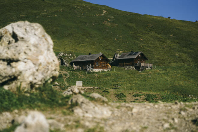 Alpe Sareis (c) Dominic Berchtold / Vorarlberg Tourismus