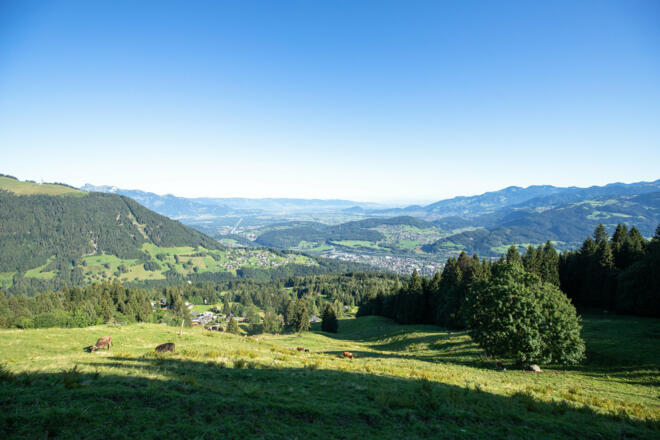 Blick ins Rheintal (c) Lucas Tiefenthaler / Vorarlberg Tourismus