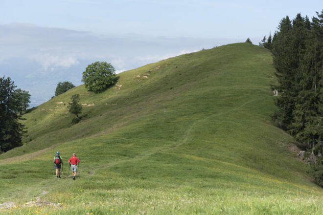 Alpwegkopf  (c) Martin Vogel / Vorarlberg Tourismus