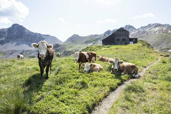 Stuttgarter Hütte (c) Lucas Tiefenthaler / Vorarlberg Tourismus