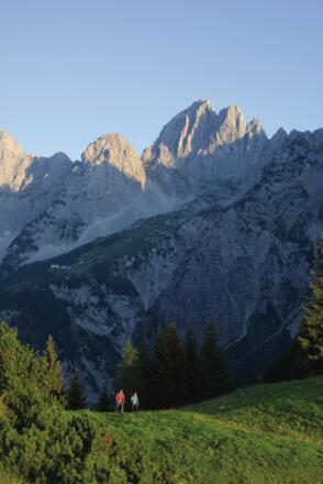 Baumgartnerkopf - im Hintergrund die Gruttenhütte, Kaiserkopf und die Ellmauer Halt