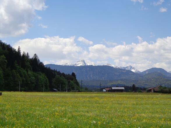 Hausbergwiesen mit Blick auf den Daniel in Lermoos