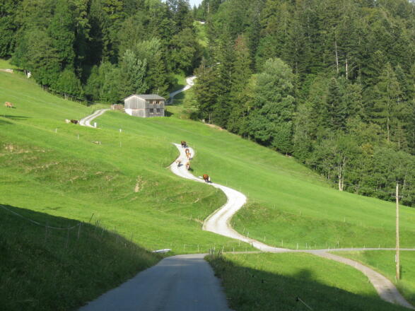 Richtung Berchtoldshöhe
