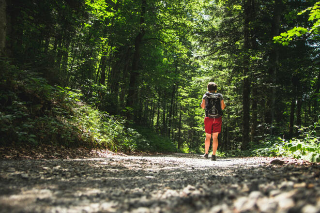 Weg Richtung Schönenbach  (c) Thomas Stanglechner / Vorarlberg Tourismus