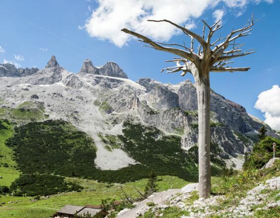 Gauertaler AlpkulTour (c)  Andreas Haller -  Montafon Tourismus GmbH, Schruns.jpg