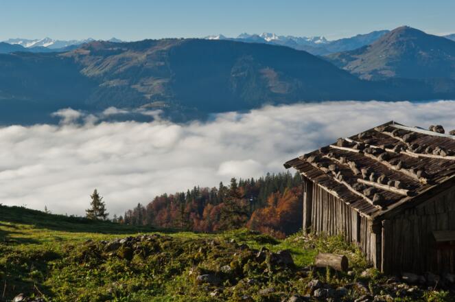 Kaiser Hochalm - mit Blick auf die Hohe Salve