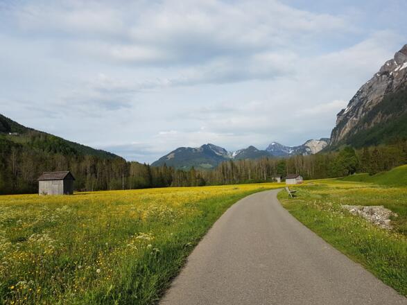 Wanderung in Mellau im Enge Vorsäß