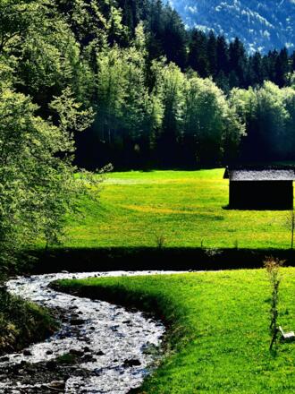Löwenzahnfelder entlang des Grebenbaches
