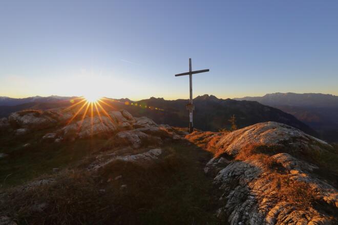Saukarkopf im Herbst