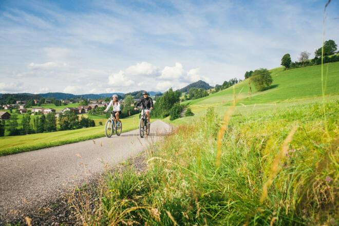 Radweg Bregenzerwald