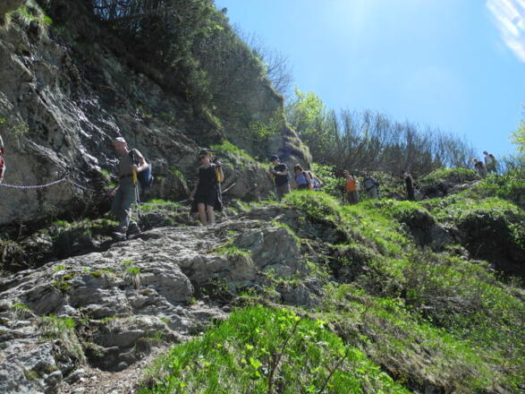 Abstieg von der Landberger zur Traualpe