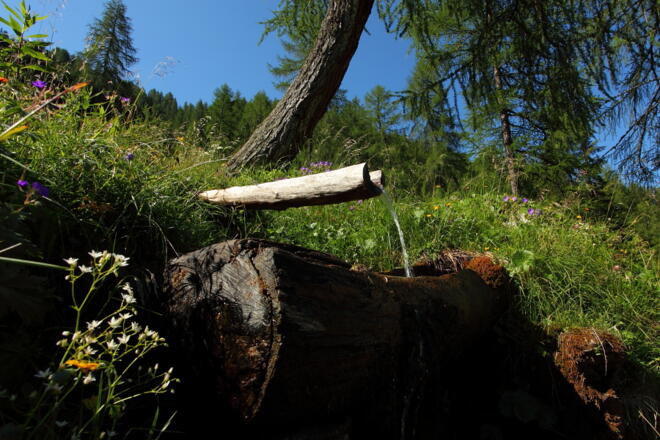 Brunnen vor der Karteisalm
