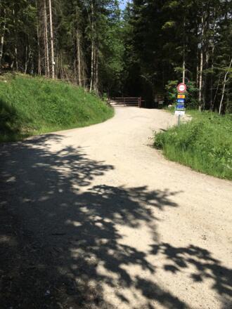 Fahrweg mit Weidegitter